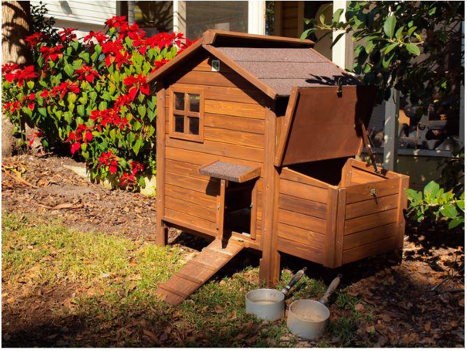 Un poulailler en bois pour l’élevage de poules