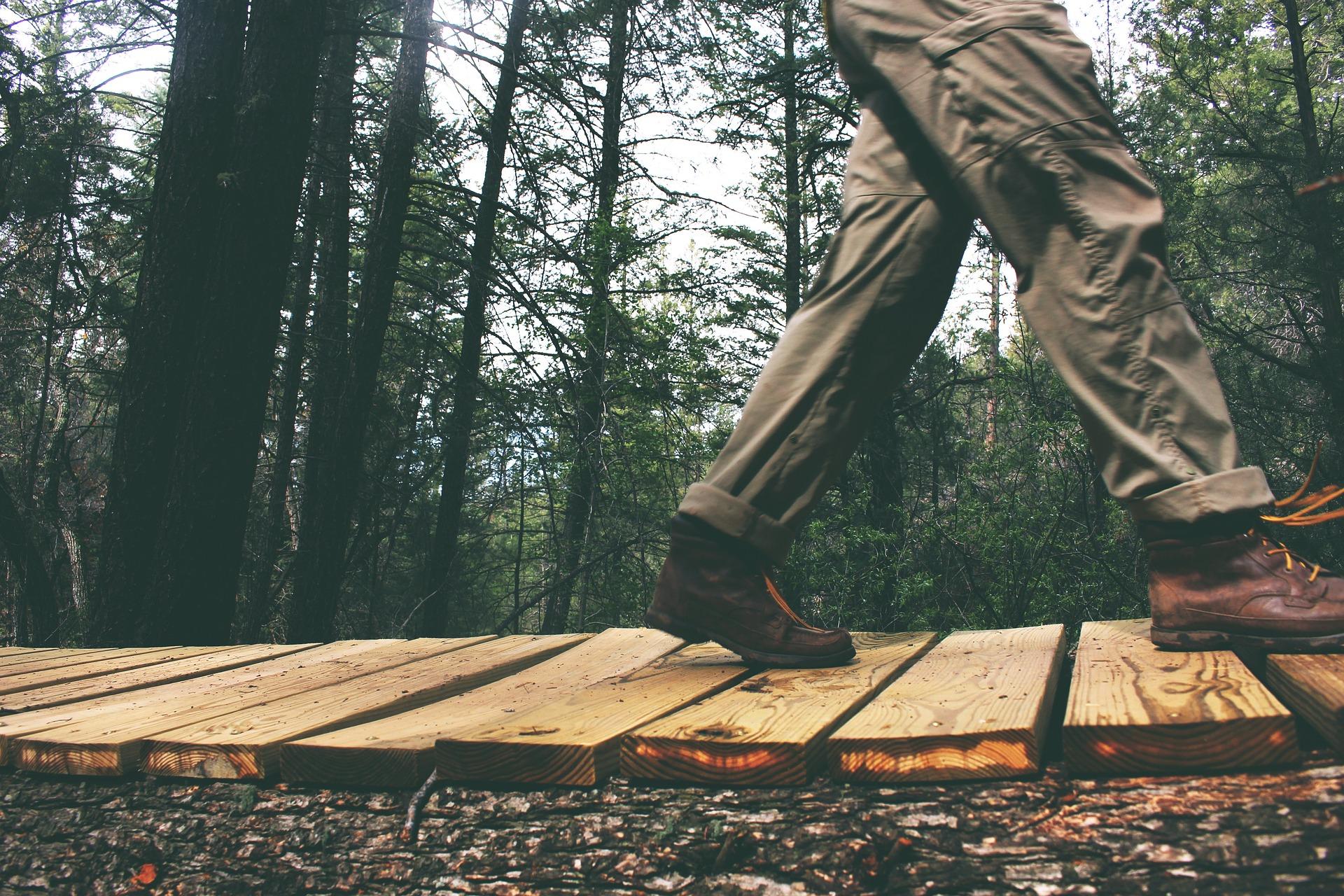 Pantalons de chasse imperméables pour homme